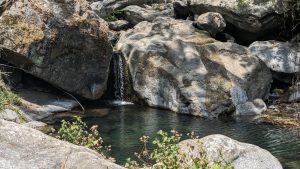 A small waterfall where we waited for Ankit when he went to scout for the Owl's location! This was more our selfie point! But nevertheless so picturesque