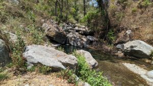 The trail that we crossed to see the Tawny Fish owl. 