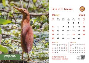 IIT Madras Calendar 2024_DESK_Web_page-0007