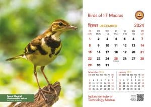 IIT Madras Calendar 2024_DESK_Web_page-0014